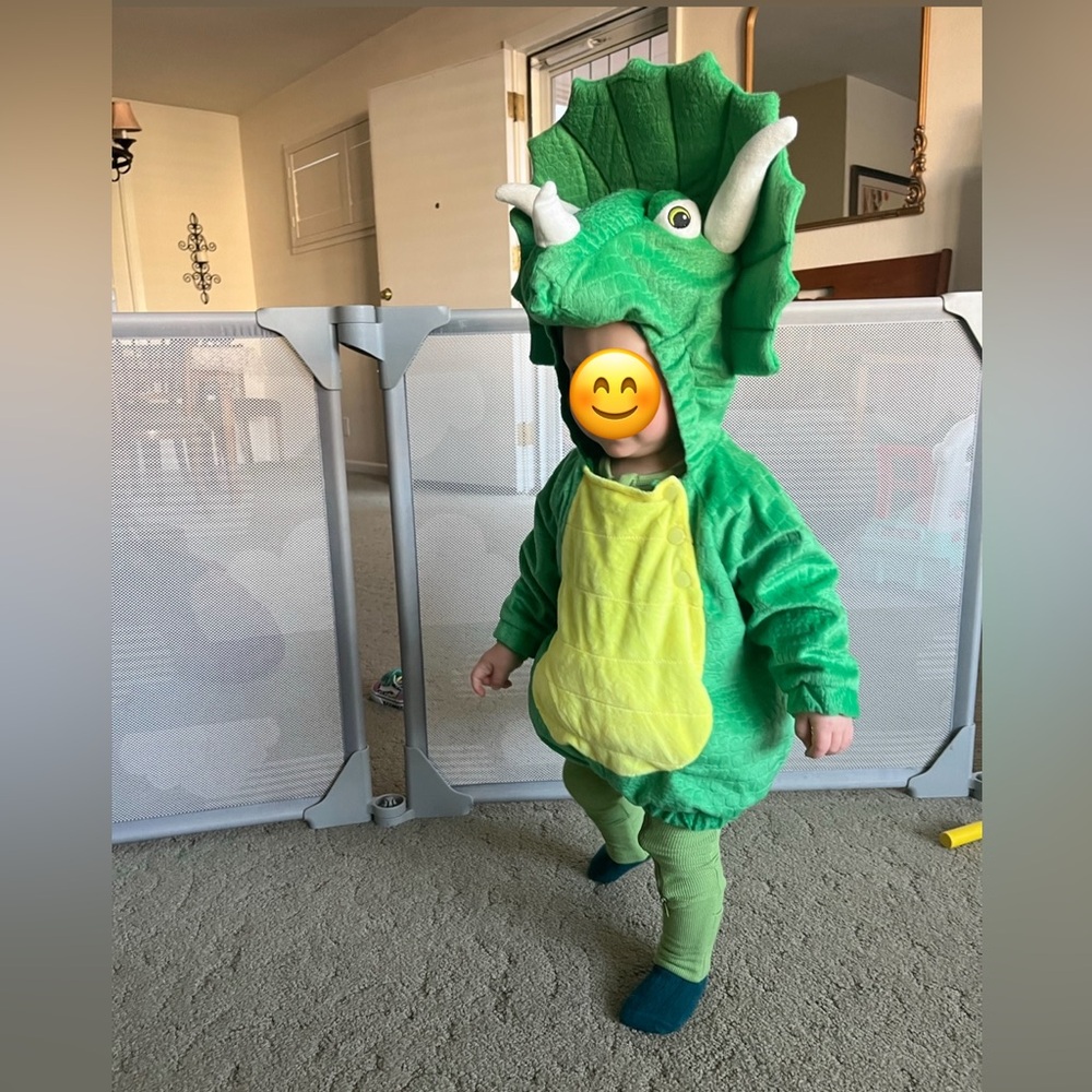 Green Dinosaur Kids Costume